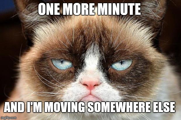 Grumpy Cat Not Amused Meme | ONE MORE MINUTE AND I'M MOVING SOMEWHERE ELSE | image tagged in memes,grumpy cat not amused,grumpy cat | made w/ Imgflip meme maker