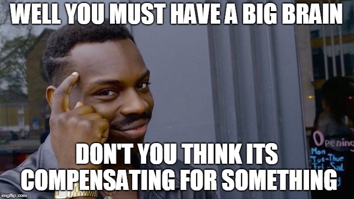 Roll Safe Think About It Meme | WELL YOU MUST HAVE A BIG BRAIN DON'T YOU THINK ITS COMPENSATING FOR SOMETHING | image tagged in memes,roll safe think about it | made w/ Imgflip meme maker