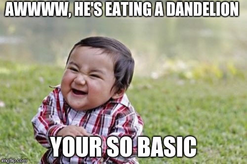 Evil Toddler Meme | AWWWW, HE'S EATING A DANDELION; YOUR SO BASIC | image tagged in memes,evil toddler | made w/ Imgflip meme maker