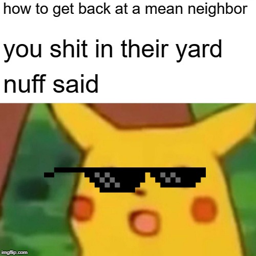proud pikachu | how to get back at a mean neighbor; you shit in their yard; nuff said | image tagged in memes,surprised pikachu | made w/ Imgflip meme maker