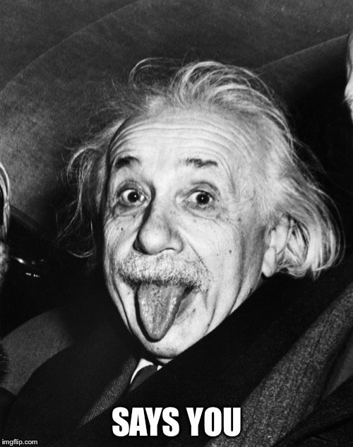 Einstein | SAYS YOU | image tagged in einstein | made w/ Imgflip meme maker