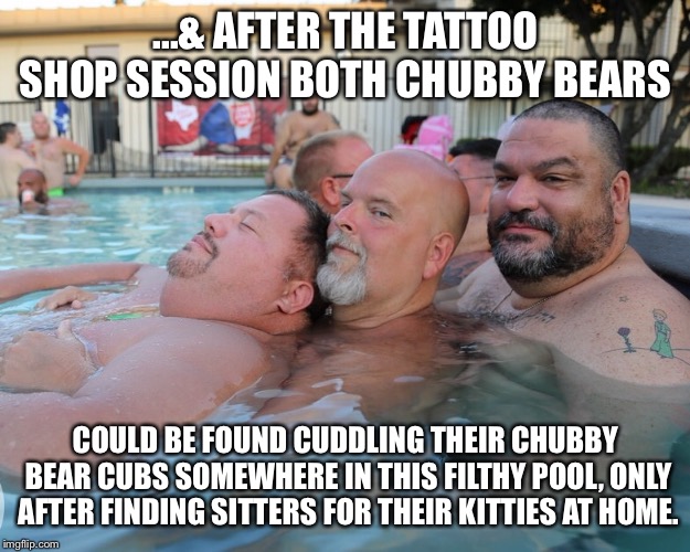 Chubby bear pool party  | ...& AFTER THE TATTOO SHOP SESSION BOTH CHUBBY BEARS; COULD BE FOUND CUDDLING THEIR CHUBBY BEAR CUBS SOMEWHERE IN THIS FILTHY POOL, ONLY AFTER FINDING SITTERS FOR THEIR KITTIES AT HOME. | image tagged in chubby,bears | made w/ Imgflip meme maker