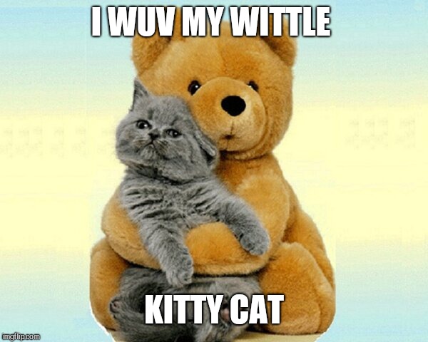 I WUV MY WITTLE KITTY CAT | made w/ Imgflip meme maker