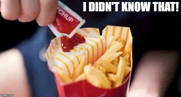 why didn't' i think of that? | I DIDN'T KNOW THAT! | image tagged in french fries,ketchup holder | made w/ Imgflip meme maker