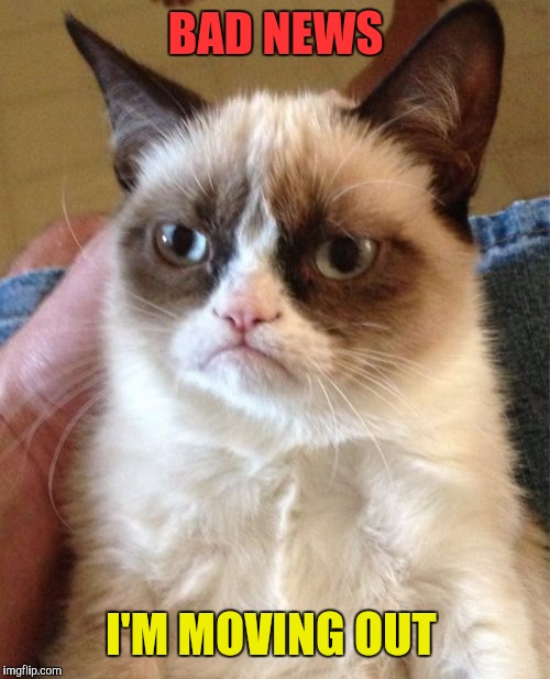 Grumpy Cat Meme | BAD NEWS I'M MOVING OUT | image tagged in memes,grumpy cat | made w/ Imgflip meme maker