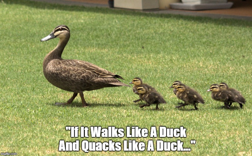 "If It Walks Like A Duck And Quacks Like A Duck..." | made w/ Imgflip meme maker