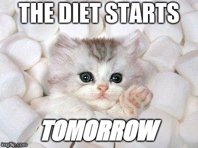 Marshmallow Cat | THE DIET STARTS; TOMORROW | image tagged in marshmallow cat | made w/ Imgflip meme maker