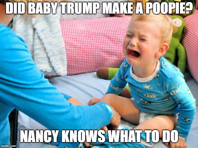 Sooner or later, Republicans will realize that this president is a complete idiot. | DID BABY TRUMP MAKE A POOPIE? NANCY KNOWS WHAT TO DO | image tagged in donald trump,trump tantrum,government shutdown | made w/ Imgflip meme maker