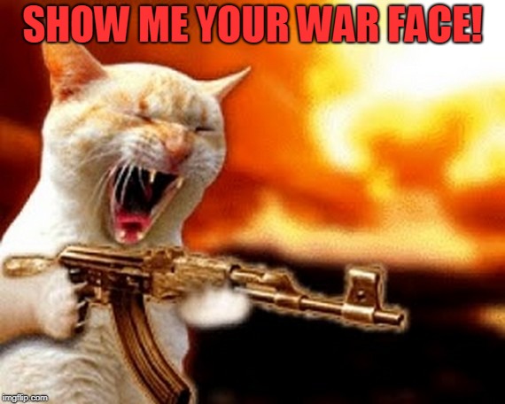 machine gun cat | SHOW ME YOUR WAR FACE! | image tagged in machine gun cat | made w/ Imgflip meme maker