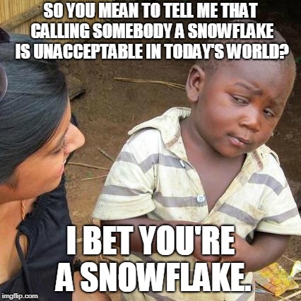 Third World Skeptical Kid Meme | SO YOU MEAN TO TELL ME THAT CALLING SOMEBODY A SNOWFLAKE IS UNACCEPTABLE IN TODAY'S WORLD? I BET YOU'RE A SNOWFLAKE. | image tagged in memes,third world skeptical kid | made w/ Imgflip meme maker