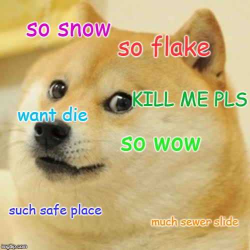 Doge Meme | so snow; so flake; KILL ME PLS; want die; so wow; such safe place; much sewer slide | image tagged in memes,doge | made w/ Imgflip meme maker