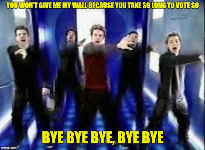 Bye Bye Bye | YOU WON'T GIVE ME MY WALL BECAUSE YOU TAKE SO LONG TO VOTE SO; BYE BYE BYE, BYE BYE | image tagged in bye bye bye | made w/ Imgflip meme maker
