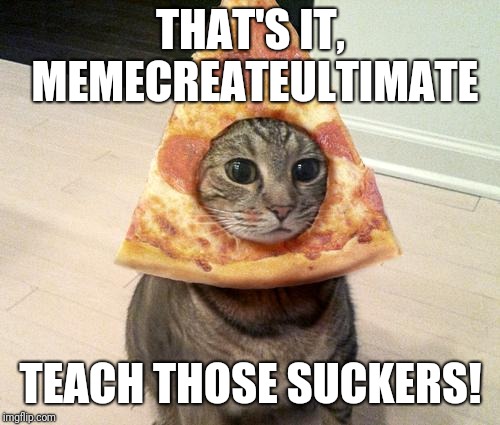 pizza cat | THAT'S IT, MEMECREATEULTIMATE TEACH THOSE SUCKERS! | image tagged in pizza cat | made w/ Imgflip meme maker