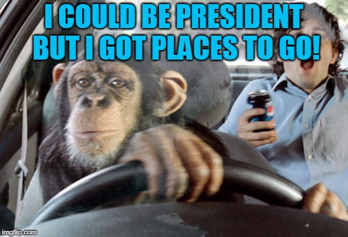 Monkey cab driver | I COULD BE PRESIDENT BUT I GOT PLACES TO GO! | image tagged in monkey cab driver | made w/ Imgflip meme maker