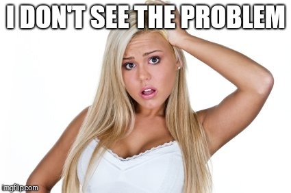 Dumb Blonde | I DON'T SEE THE PROBLEM | image tagged in dumb blonde | made w/ Imgflip meme maker