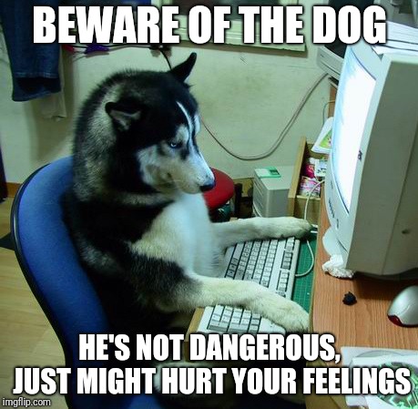 He's a bit husky right now. | BEWARE OF THE DOG; HE'S NOT DANGEROUS, JUST MIGHT HURT YOUR FEELINGS | image tagged in memes,i have no idea what i am doing | made w/ Imgflip meme maker