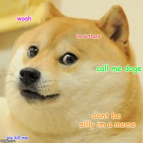Doge | woah; im letters; call me doge; dont be silly im a meme; pls kill me | image tagged in memes,doge | made w/ Imgflip meme maker