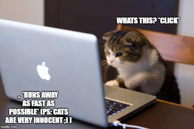 Cat using computer | WHATS THIS? *CLICK*; .. *RUNS AWAY AS FAST AS POSSIBLE* (PS: CATS ARE VERY INNOCENT ;) ) | image tagged in cat using computer | made w/ Imgflip meme maker