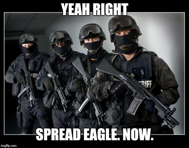 Sheriff's SWAT Team | YEAH RIGHT SPREAD EAGLE. NOW. | image tagged in sheriff's swat team | made w/ Imgflip meme maker