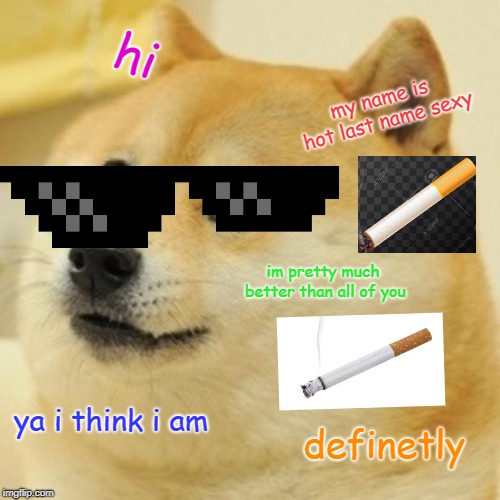 Doge | hi; my name is hot last name sexy; im pretty much better than all of you; ya i think i am; definetly | image tagged in memes,doge | made w/ Imgflip meme maker
