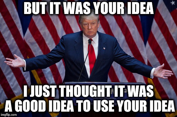 He should've used diplomacy on them | BUT IT WAS YOUR IDEA; I JUST THOUGHT IT WAS A GOOD IDEA TO USE YOUR IDEA | image tagged in donald trump,arguing,nevertrump,reason,alright gentlemen we need a new idea | made w/ Imgflip meme maker