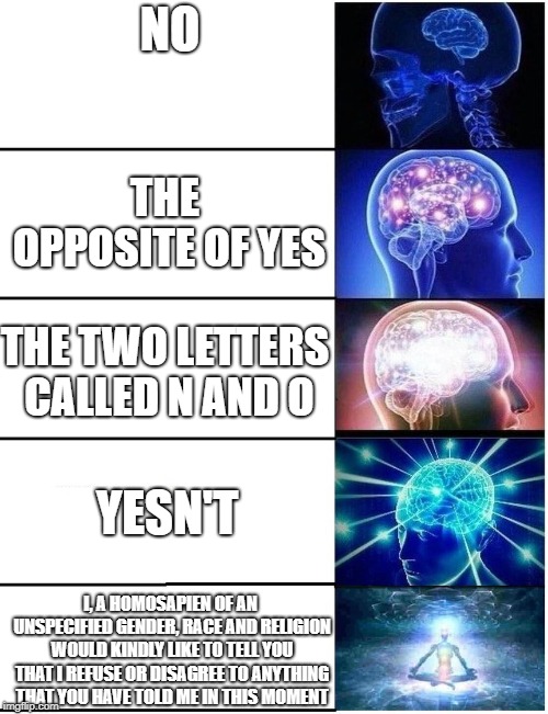 Expanding Brain 5 Panel | NO I, A HOMOSAPIEN OF AN UNSPECIFIED GENDER, RACE AND RELIGION WOULD KINDLY LIKE TO TELL YOU THAT I REFUSE OR DISAGREE TO ANYTHING THAT YOU  | image tagged in expanding brain 5 panel | made w/ Imgflip meme maker