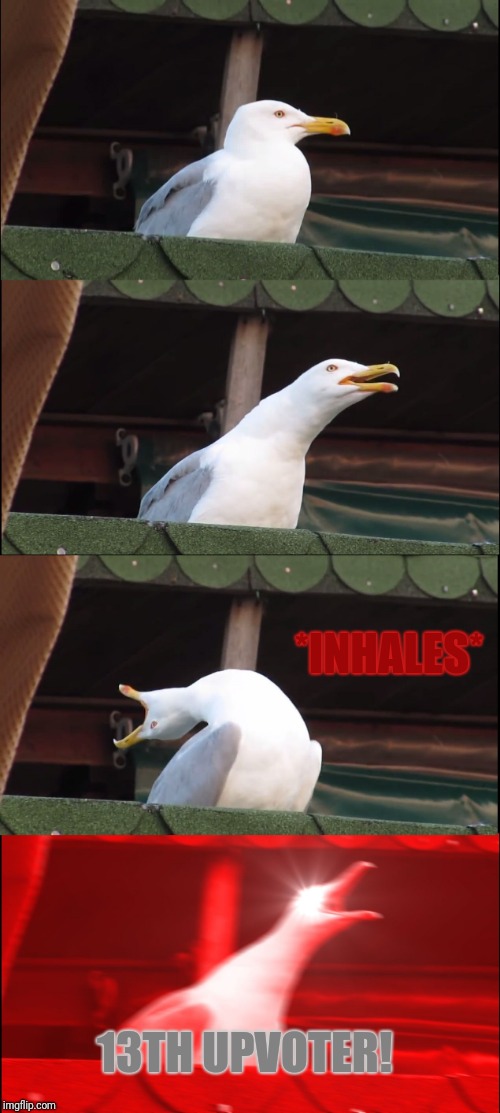 Inhaling Seagull Meme | *INHALES* 13TH UPVOTER! | image tagged in memes,inhaling seagull | made w/ Imgflip meme maker