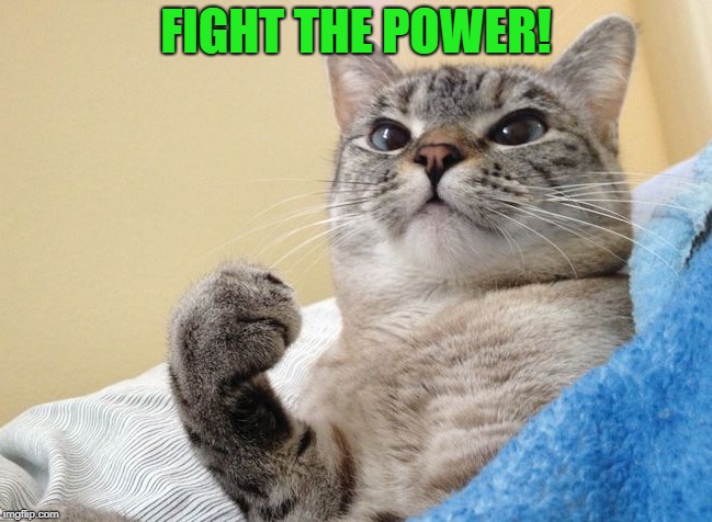 FIGHT THE POWER! | made w/ Imgflip meme maker