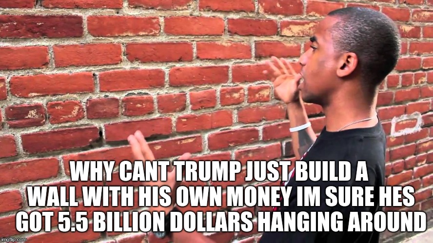 Talking to wall | WHY CANT TRUMP JUST BUILD A WALL WITH HIS OWN MONEY IM SURE HES GOT 5.5 BILLION DOLLARS HANGING AROUND | image tagged in talking to wall | made w/ Imgflip meme maker