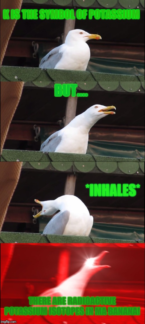 Inhaling Seagull Meme | K IS THE SYMBOL OF POTASSIUM BUT.... *INHALES* THERE ARE RADIOACTIVE POTASSIUM ISOTOPES IN MA BANANA! | image tagged in memes,inhaling seagull | made w/ Imgflip meme maker