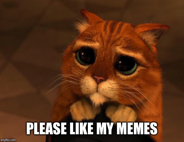 puss in boots eyes | PLEASE LIKE MY MEMES | image tagged in puss in boots eyes | made w/ Imgflip meme maker
