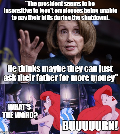 Cheap shot, but oooohhh, I bet that still stings | "The president seems to be insensitive to [gov't employees being unable to pay their bills during the shutdown]. He thinks maybe they can just ask their father for more money"; WHAT'S THE WORD? BUUUUURN! | image tagged in good old nancy pelosi,what's the word,burn | made w/ Imgflip meme maker
