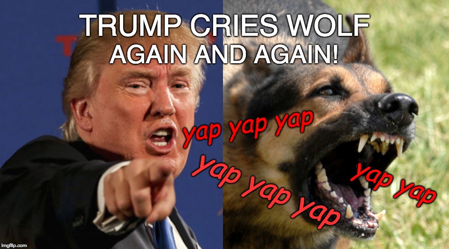 Trump cries wolf again and again! |  AGAIN AND AGAIN! TRUMP CRIES WOLF; yap yap yap; yap yap yap; yap yap | image tagged in trump angry dog,trump lies,trump yapping,trump barking,trump howling,trump wants us to suffer | made w/ Imgflip meme maker