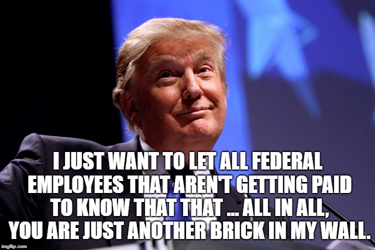 We don't need no thought control... | I JUST WANT TO LET ALL FEDERAL EMPLOYEES THAT AREN'T GETTING PAID TO KNOW THAT THAT ... ALL IN ALL, YOU ARE JUST ANOTHER BRICK IN MY WALL. | image tagged in donald trump,trump wall,pink floyd,the wall | made w/ Imgflip meme maker