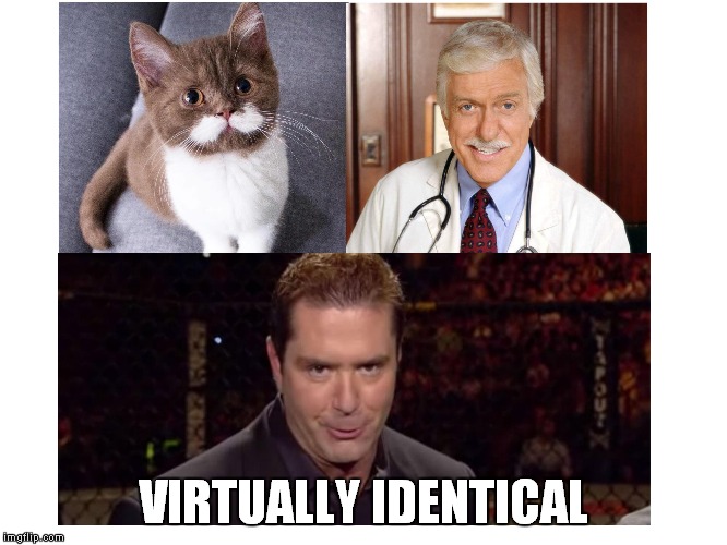 Virtually Identical | VIRTUALLY IDENTICAL | image tagged in virtually identical,cat,cats,dick van dyke,virtually,identical | made w/ Imgflip meme maker