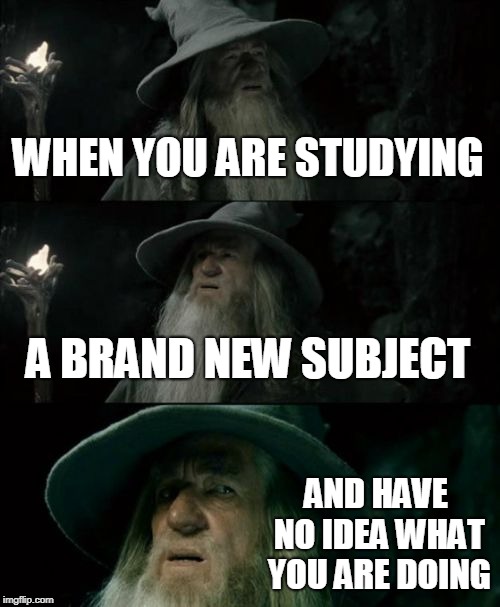 Confused Gandalf | WHEN YOU ARE STUDYING; A BRAND NEW SUBJECT; AND HAVE NO IDEA WHAT YOU ARE DOING | image tagged in memes,confused gandalf | made w/ Imgflip meme maker