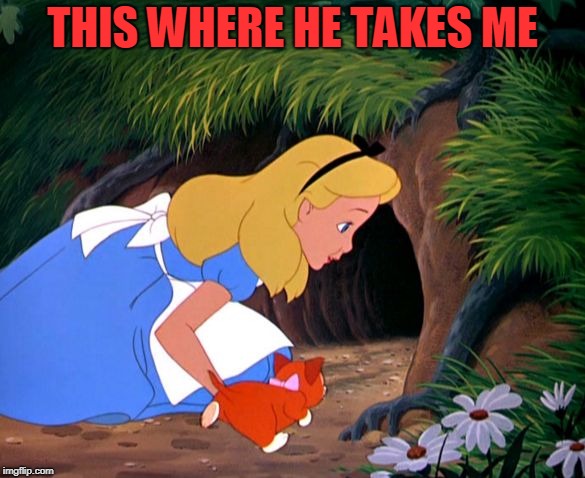 Alice Looking Down the Rabbit Hole | THIS WHERE HE TAKES ME | image tagged in alice looking down the rabbit hole | made w/ Imgflip meme maker