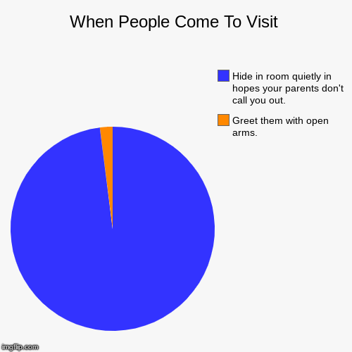When People Come To Visit | Greet them with open arms., Hide in room quietly in hopes your parents don't call you out. | image tagged in funny,pie charts | made w/ Imgflip chart maker