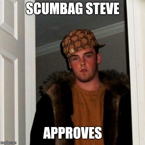 Scumbag Steve Meme | SCUMBAG STEVE APPROVES | image tagged in memes,scumbag steve | made w/ Imgflip meme maker