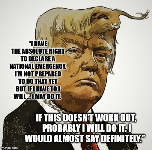 Threats [If Probably Maybe Definitely Not Prepared May Have To Absolute] | “I HAVE THE ABSOLUTE RIGHT TO DECLARE A NATIONAL EMERGENCY. I’M NOT PREPARED TO DO THAT YET BUT IF I HAVE TO I WILL ... I MAY DO IT. IF THIS DOESN’T WORK OUT, PROBABLY I WILL DO IT. I WOULD ALMOST SAY DEFINITELY.” | image tagged in memes,dank,trump,kidnapping,tough guy,funny | made w/ Imgflip meme maker