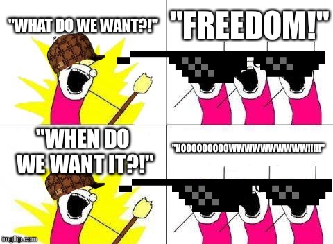 What Do We Want | "WHAT DO WE WANT?!"; "FREEDOM!"; "NOOOOOOOOOWWWWWWWWWW!!!!!"; "WHEN DO WE WANT IT?!" | image tagged in memes,what do we want | made w/ Imgflip meme maker