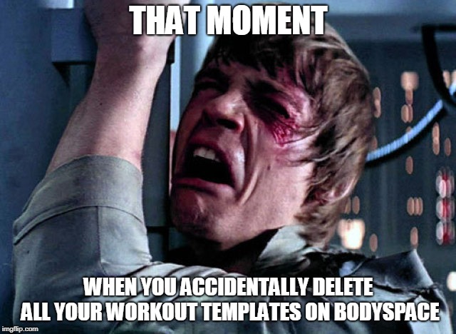 workout templates meme | THAT MOMENT; WHEN YOU ACCIDENTALLY DELETE ALL YOUR WORKOUT TEMPLATES ON BODYSPACE | image tagged in nooo,fitness,bodyspace | made w/ Imgflip meme maker