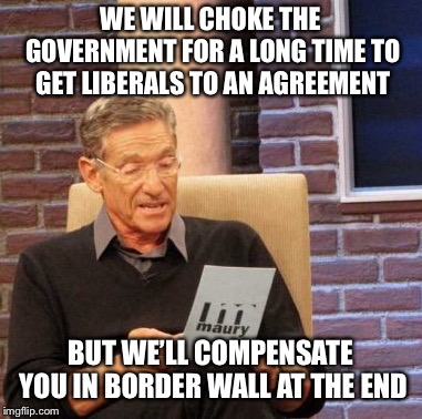 Blood Spilled | WE WILL CHOKE THE GOVERNMENT FOR A LONG TIME TO GET LIBERALS TO AN AGREEMENT; BUT WE’LL COMPENSATE YOU IN BORDER WALL AT THE END | image tagged in memes,maury lie detector,politics | made w/ Imgflip meme maker