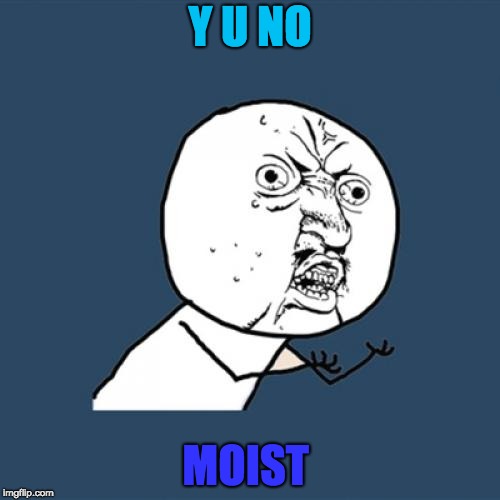 Y U No Meme | Y U NO; MOIST | image tagged in memes,y u no | made w/ Imgflip meme maker