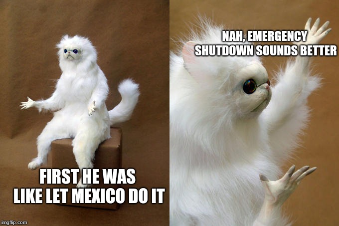 Persian Cat Room Guardian |  NAH, EMERGENCY SHUTDOWN SOUNDS BETTER; FIRST HE WAS LIKE LET MEXICO DO IT | image tagged in memes,persian cat room guardian | made w/ Imgflip meme maker