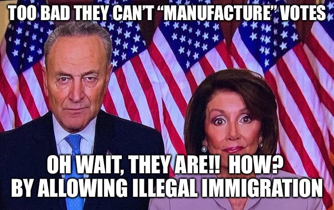 Nancy and Chuck | TOO BAD THEY CAN’T “MANUFACTURE” VOTES; OH WAIT, THEY ARE!!  HOW?  BY ALLOWING ILLEGAL IMMIGRATION | image tagged in nancy and chuck | made w/ Imgflip meme maker