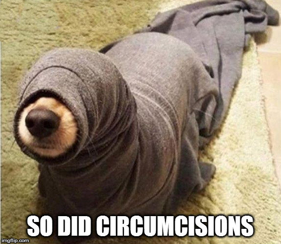 not circumcised  | SO DID CIRCUMCISIONS | image tagged in not circumcised | made w/ Imgflip meme maker