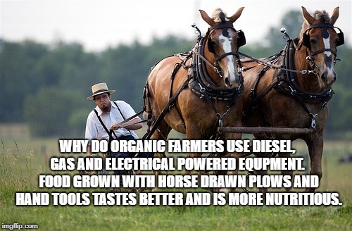 Amish farmer | WHY DO ORGANIC FARMERS USE DIESEL, GAS AND ELECTRICAL POWERED EQUPMENT.  FOOD GROWN WITH HORSE DRAWN PLOWS AND HAND TOOLS TASTES BETTER AND IS MORE NUTRITIOUS. | image tagged in amish farmer | made w/ Imgflip meme maker
