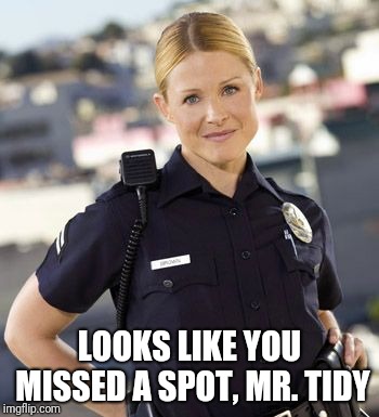LOOKS LIKE YOU MISSED A SPOT, MR. TIDY | made w/ Imgflip meme maker