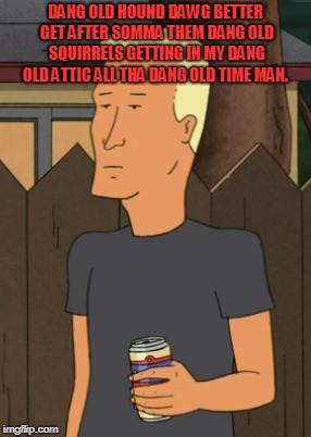 Boomhauer from King Of The Hill | DANG OLD HOUND DAWG BETTER GET AFTER SOMMA THEM DANG OLD SQUIRRELS GETTING IN MY DANG OLD ATTIC ALL THA DANG OLD TIME MAN. | image tagged in boomhauer from king of the hill | made w/ Imgflip meme maker
